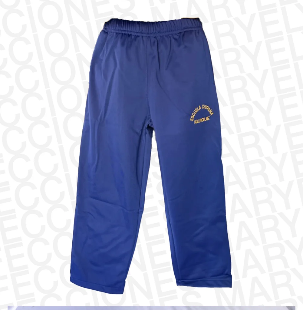 Pantalon Buzo Colegio Chipana