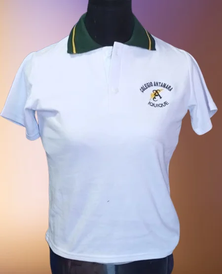 Polera Piquet Manga Corta Colegio Antamara
